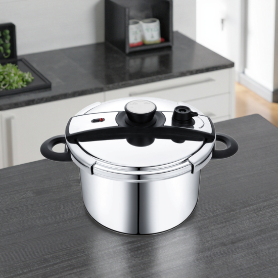 قدور ضغط سانلس ستيل نيوفلام 10 لتر